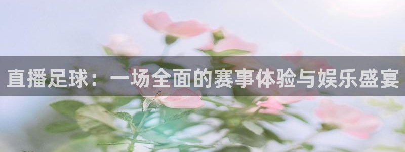 直播足球：一场全面的赛事体验与娱乐盛宴